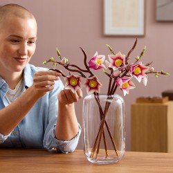 LEGO Botanicals Gałązki magnolii 11510