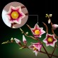 LEGO Botanicals Gałązki magnolii 11510