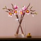 LEGO Botanicals Gałązki magnolii 11510