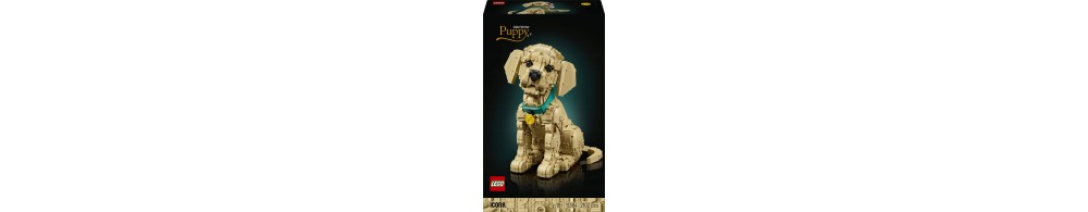 LEGO Icons Szczeniak golden retriever 11384