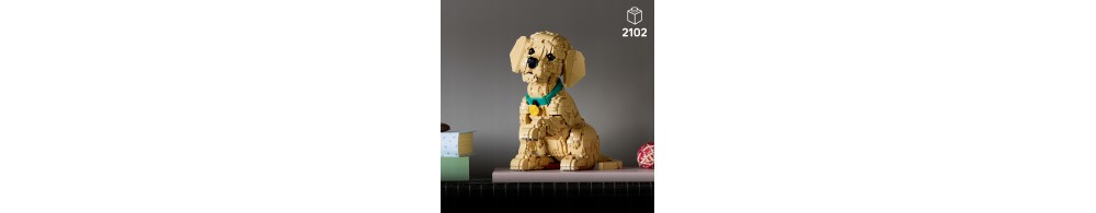 LEGO Icons Szczeniak golden retriever 11384