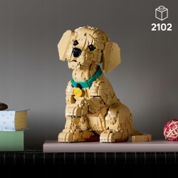 LEGO Icons Szczeniak golden retriever 11384