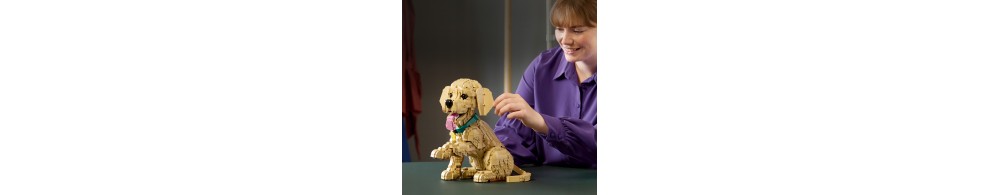 LEGO Icons Szczeniak golden retriever 11384