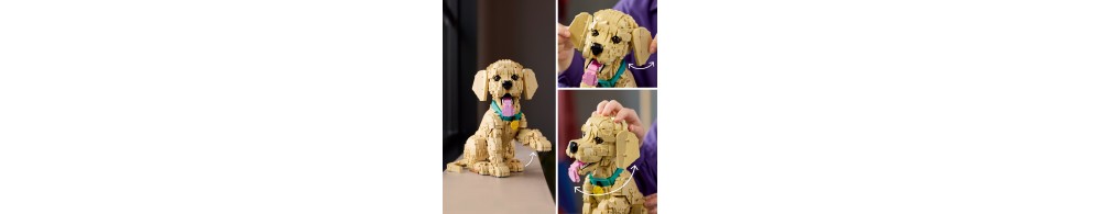 LEGO Icons Szczeniak golden retriever 11384