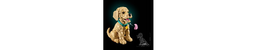 LEGO Icons Szczeniak golden retriever 11384