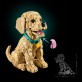 LEGO Icons Szczeniak golden retriever 11384
