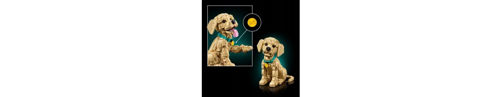 LEGO Icons Szczeniak golden retriever 11384