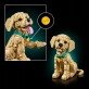 LEGO Icons Szczeniak golden retriever 11384
