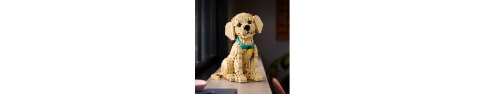 LEGO Icons Szczeniak golden retriever 11384
