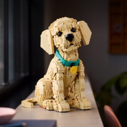 LEGO Icons Szczeniak golden retriever 11384