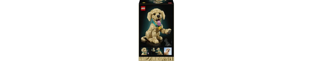 LEGO Icons Szczeniak golden retriever 11384