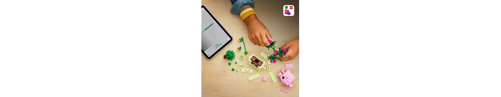 LEGO Botanicals Bujające się roślinki 11506