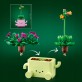 LEGO Botanicals Bujające się roślinki 11506