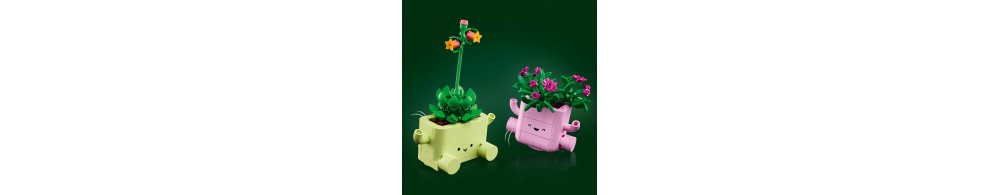 LEGO Botanicals Bujające się roślinki 11506