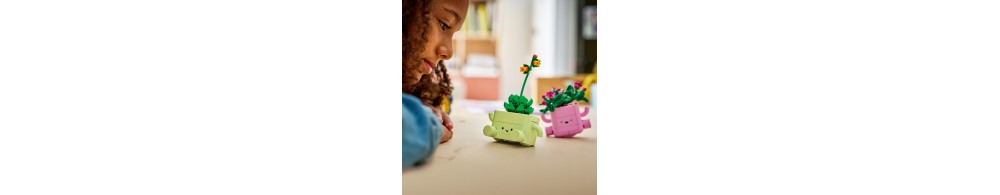 LEGO Botanicals Bujające się roślinki 11506