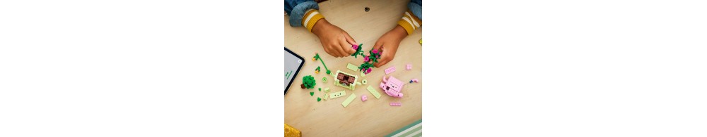 LEGO Botanicals Bujające się roślinki 11506