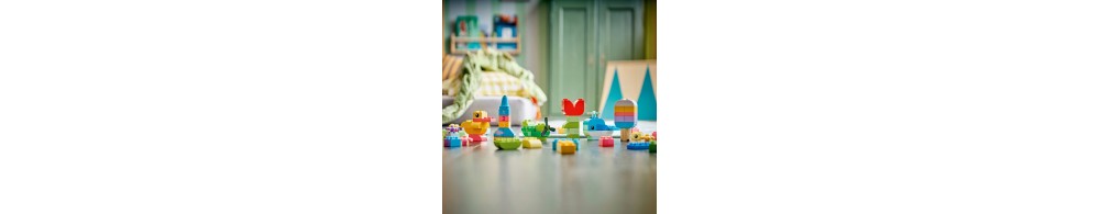 LEGO DUPLO Classic Kreatywne pudełko pełne kolorów 10479