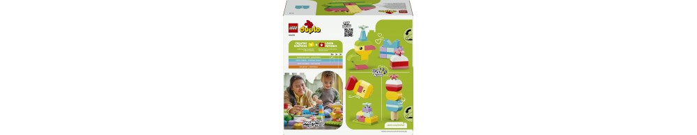 LEGO DUPLO Classic Kreatywne pudełko pełne kolorów 10479
