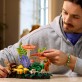 LEGO Botanicals Grzyby leśne 11505