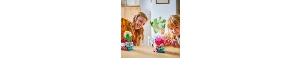 LEGO Botanicals Lilie wodne 11511