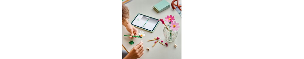 LEGO Botanicals Kosmosy 11514