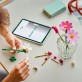 LEGO Botanicals Kosmosy 11514