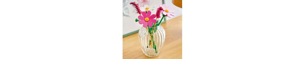 LEGO Botanicals Kosmosy 11514