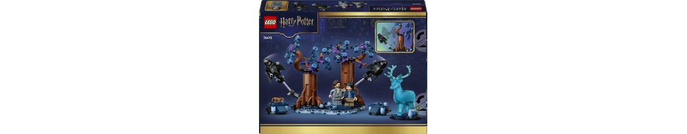 LEGO Harry Potter Zakazany Las: Expecto Patronum 76475