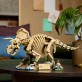 LEGO Jurassic World Szkielety dinozaurów: triceratops 77985