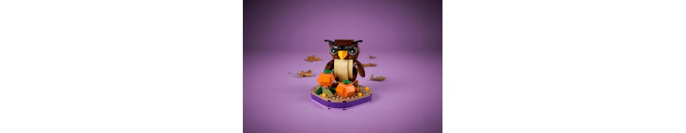 LEGO Halloweenowa sowa 40497