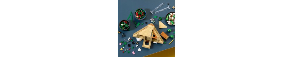 LEGO Pokémon Rayquaza 72168