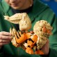 LEGO Pokémon Arcanine 72160