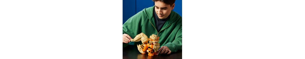 LEGO Pokémon Arcanine 72160