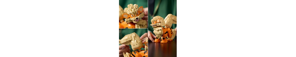 LEGO Pokémon Arcanine 72160