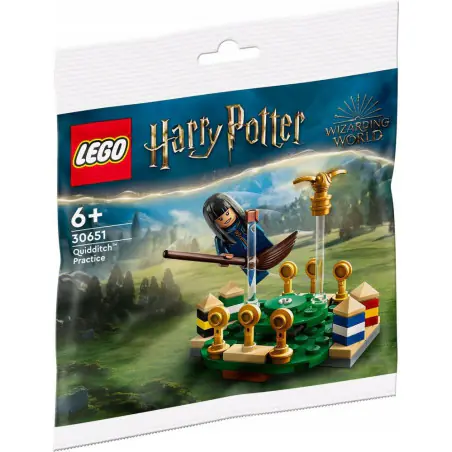 LEGO Harry Potter Trening quidditcha 30651  
